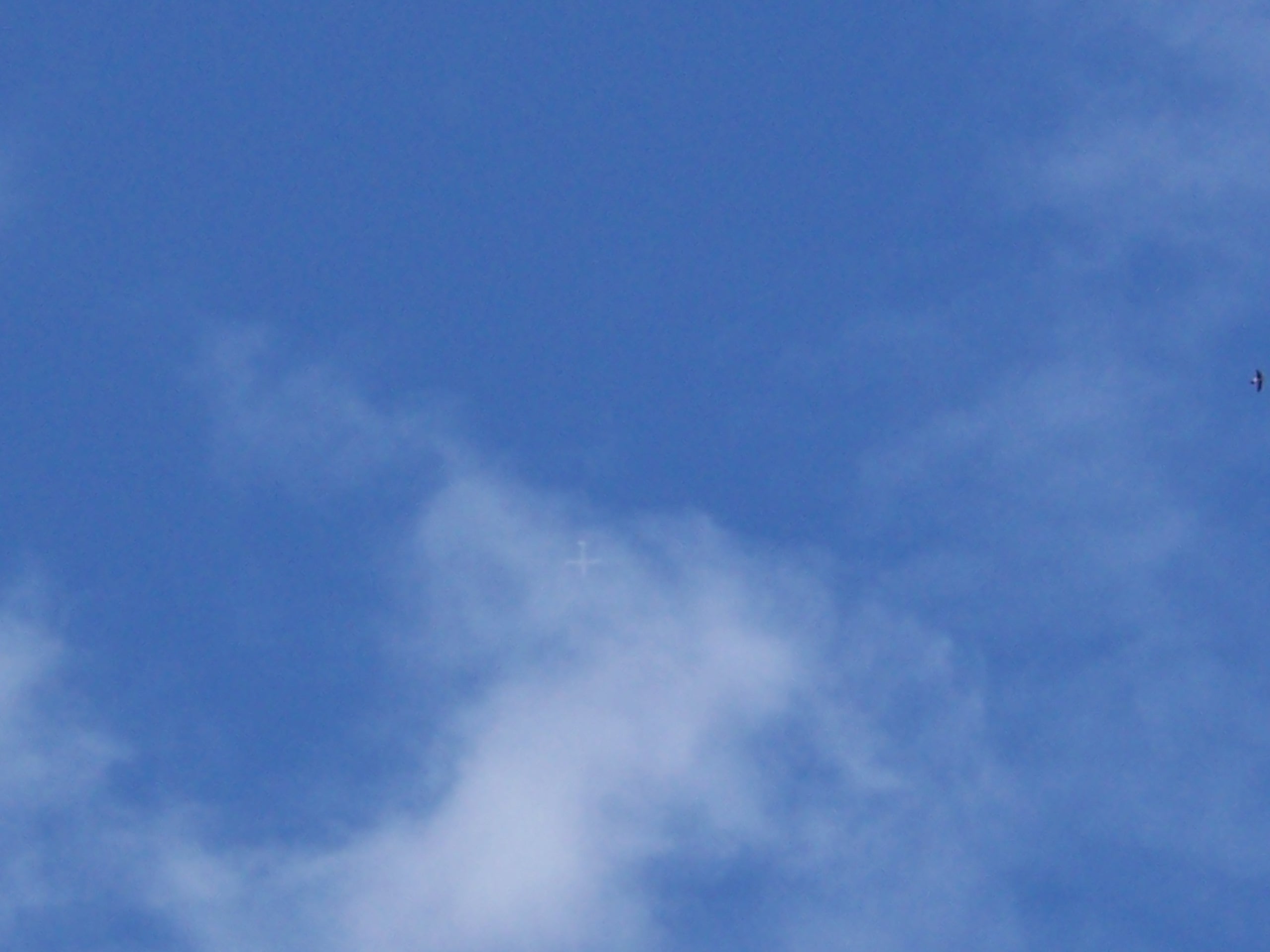 img00002.jpg
