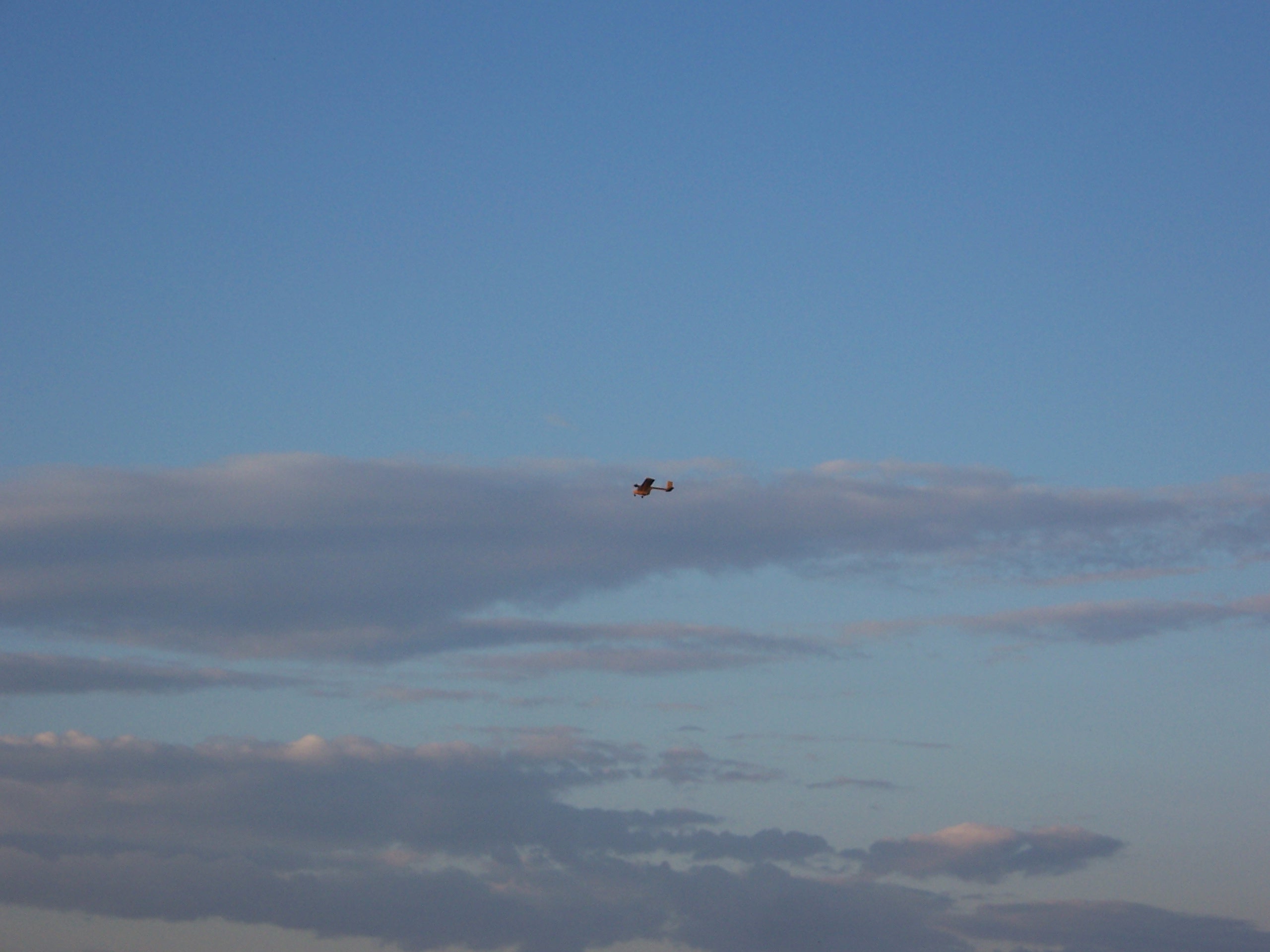 img00029.jpg